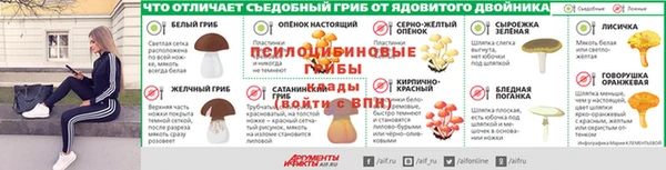 дмт Баксан