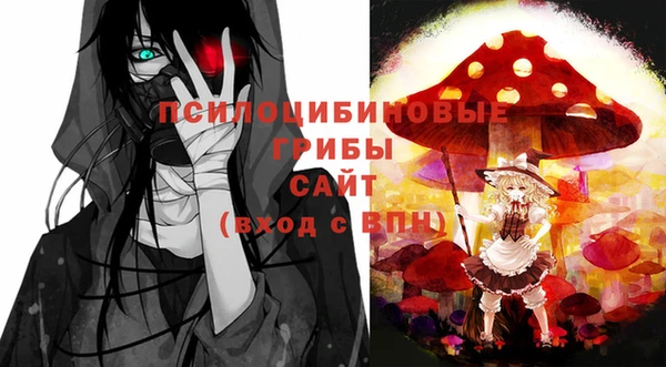 дмт Баксан